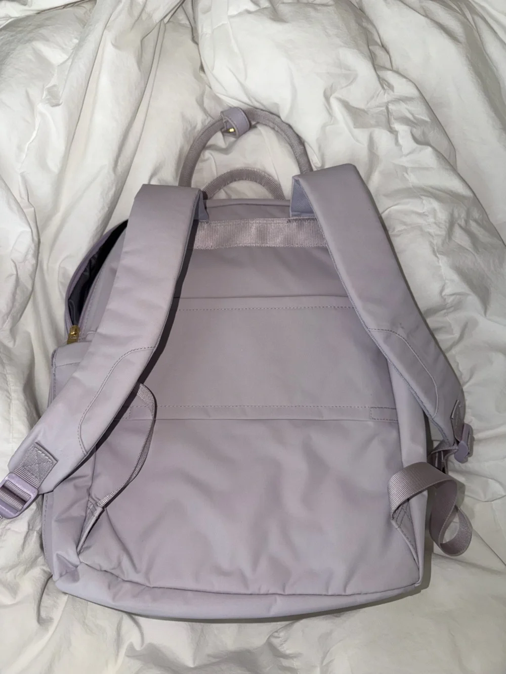 Purple 16